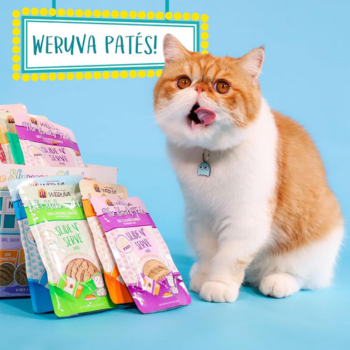 Weruva Slide N' Serve Paté Wet Cat Food, Jeopurrdy Licious Chicken Dinner, Pack of 12, 2.8oz Pouch
