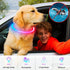 Light Up Dog Collars, Multi-Color USB Rechargeable LED Collar, TPU Cuttable Size Glow Collar for Large Medium Small