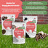 Hermit Crab Supplement Bundle Greensand, Oyster Shell Powder and Worm Castings Molting Support, Natural Calcium