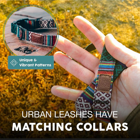 Embark Urban Dog Leashes, Colorful Strong Nylon for Small Medium Large Dogs, Heavy Duty (Mayan, 4 Ft)