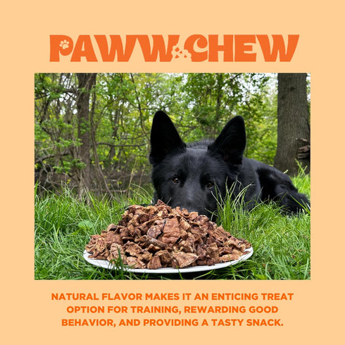 Beef Lung Dog Treats, All Natural Single Ingredient, 2.5 Pound, Made in The USA, Dehydrated High Protein