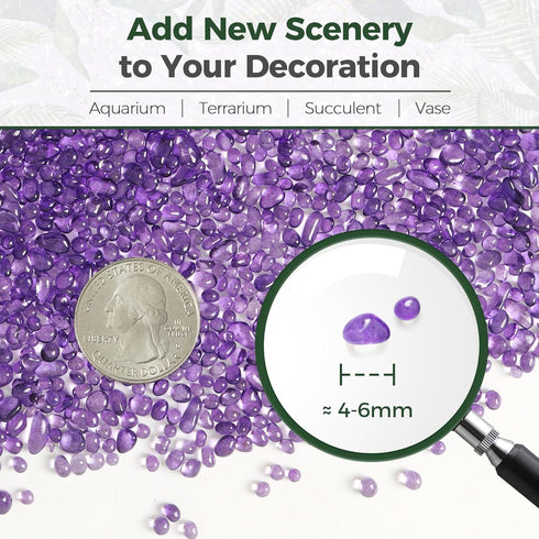 T4U 2 LB Fish Tank Gravel, Tumbled Small Rocks for Aquarium, Decorative Pebbles for Terrarium Crafts, Purple