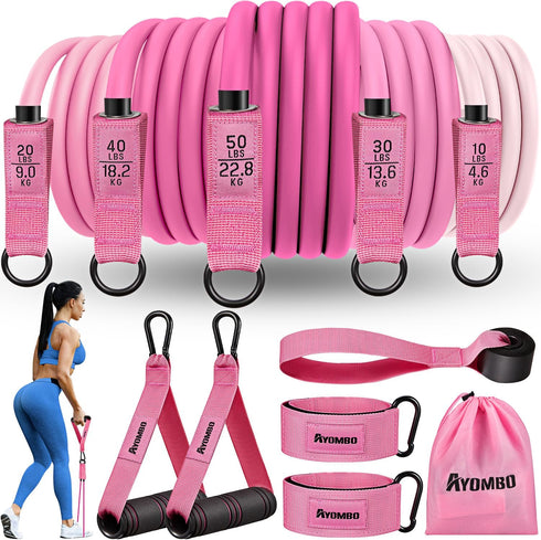 Resistance Bands with Handles for Working Out, Fitness Bands for Women, Home Gym Training Equipment