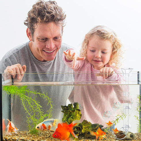 Aquarium Fish Shrimp Feeding Dish Set with Clear Feeder Tube, Cleaning Brush, and Measuring Spoon