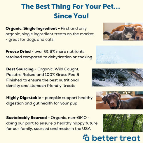 A BETTER TREAT Freeze Dried Wild Caught Salmon, Organic Grass Fed & Finished Pasture Raised Beef, Organic Chicken Dog