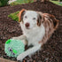 SmartPetLove Snuggle Puppy Tender-Tuffs Ball, Round Pufferfish Tough Dog Toy with Squeaker