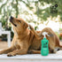 Wags & Wiggles 12 Oz Relieve Dog Anti-Itch Spray, Kiwi Scent - Waterless Dry Shampoo for Dogs With Dry, Itchy