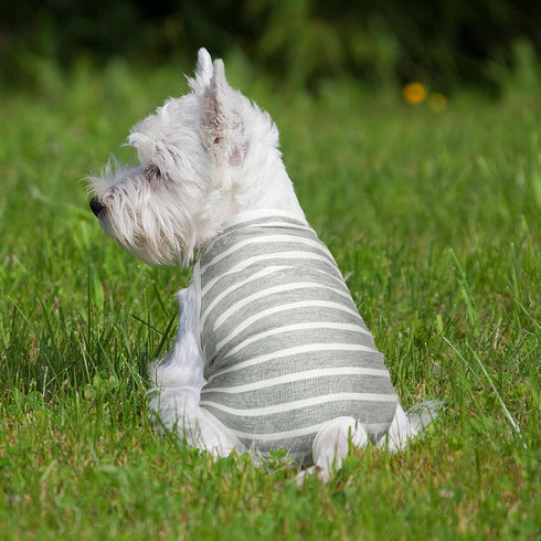 3 Pieces Reusable Dog Diapers Female Dog Period Diapers Washable Puppy Sanitary Panties with Adjustable Suspender Pet