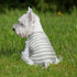 3 Pieces Reusable Dog Diapers Female Dog Period Diapers Washable Puppy Sanitary Panties with Adjustable Suspender Pet