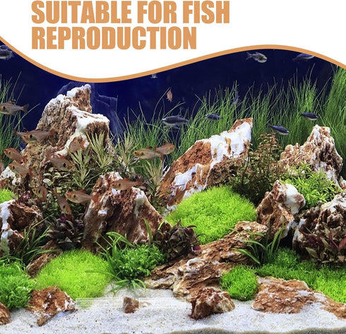 5 SUPVOX Acrylic Shrimp Cave Aquarium Hideout with Holes, Fish Tank Decor Shelter for Breeding and Observation