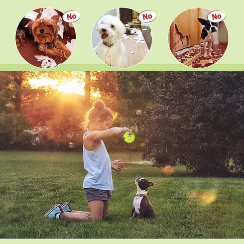 Squeaky Dog Toys, Latex Rubber Soft Chewing Toys, Squeaky Fetching Balls for Medium Small Dogs