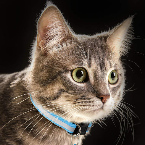 18 Piece Adjustable Reflective Cat Collars with Bell, Durable Nylon Collars with Safety Buckles and 6 Weatherproof ID