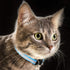 18 Piece Adjustable Reflective Cat Collars with Bell, Durable Nylon Collars with Safety Buckles and 6 Weatherproof ID