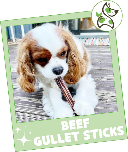 Nature Gnaws Beef Gullet Sticks for Dogs, 5-6" (15 Count), Natural Beef Jerky Stick Dog Chew Treats, Rawhide Free