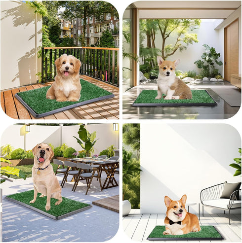 LOOBANI Dog Grass Pad with Tray, Large Indoor Dog Potties for Apartment Training with 2 Replacement Pads