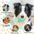 Pacifier Squeaky Dog Toys, Durable Natural Rubber Latex Dog Toy, Fetch and Tug Dog Toy, Dog Treat Toys for Boredom