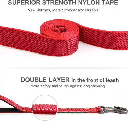 Fida 6 FT Heavy Duty Dog Leash with 2 Padded Handles, Traffic Handle & Easy Snap Hook, Reflective Walking Lead