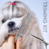 Dog Clippers Grooming Kit, Rechargeable Low Noise Shaver Supplies for Small and Large Dogs and Cats