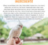 Vitakraft Crunch Sticks Cockatiel Treat - Apple and Honey, Pet Bird Treat Toy