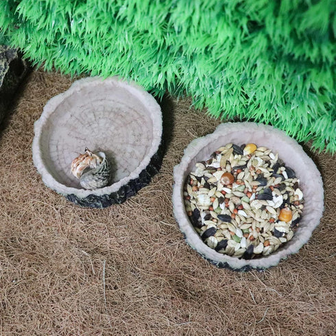 3 Pack Reptile Water Dish Food Bowls, Hermit Crab Food Dish, Bearded Dragon Water Bowl for Tortoise, Turtle, Frog