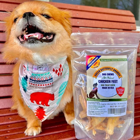 Green Butterfly Chicken Feet Dog Treats - 100% All Natural Dental Chews, Made in USA, 10 Pack, Rich in Glucosamine