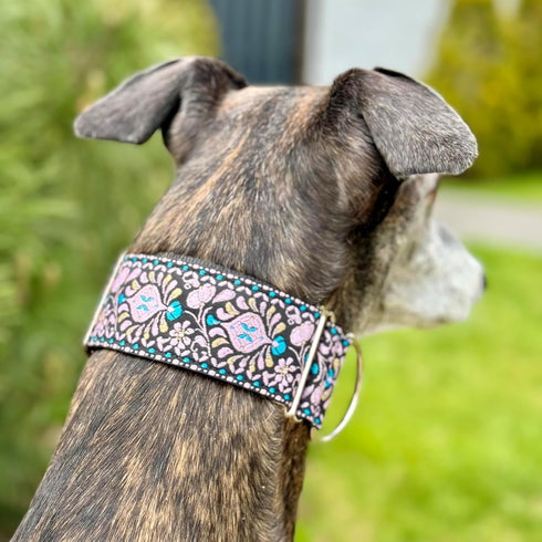 Martingale Dog Collar and Leash Set 2" Wide for Greyhound Saluki Whippet and Similar Breeds (M 11”-14”)