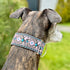 Martingale Dog Collar and Leash Set 2" Wide for Greyhound Saluki Whippet and Similar Breeds (M 11”-14”)
