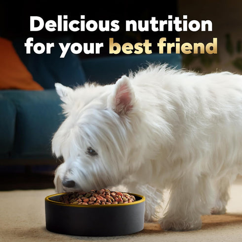2.7 lb Cesar Small Breed Dry Dog Food for Small Dogs Rotisserie Chicken Flavor and Spring Vegetables Garnish, Bag