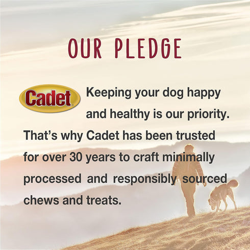 Cadet Bully Sticks for Small, Medium and Large Dogs, All-Natural Beef Pizzle, 2 Count, Extra-Thick