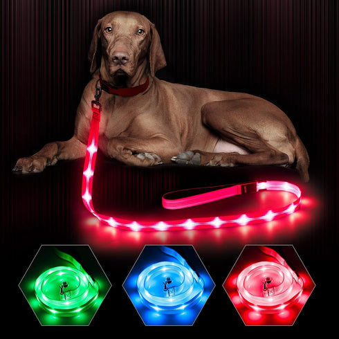 BSEEN LED Dog Leash, USB Rechargeable Light Up Leash for Nighttime Dog Walking (Pink?, 47 Inch)