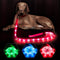 BSEEN LED Dog Leash, USB Rechargeable Light Up Leash for Nighttime Dog Walking (Pink?, 47 Inch)