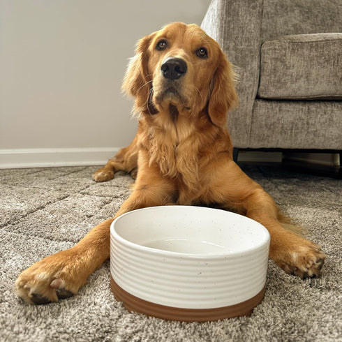 Mora Ceramic Pet Bowl Medium - 28oz Food/Water Dish for Large Puppies, Cats, Medium Dogs - Vanilla Basic Bowls