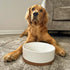 Mora Ceramic Pet Bowl Medium - 28oz Food/Water Dish for Large Puppies, Cats, Medium Dogs - Vanilla Basic Bowls