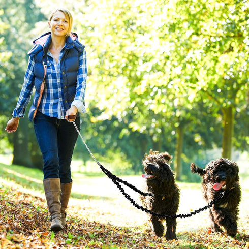 2 Dog Leash, Double Dog Leash Coupler, Tangle Free Bungee Leash, 360° Swivel, Comfortable Shock Absorbing
