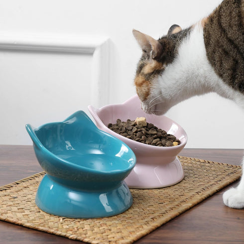 Park Life Designs Oscar Tilt Cat Dish, 10 Oz - Blue Pet Bowl