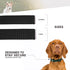 Classic Adjustable Dog Collar, 1 Inch Wide, Large, Forest Green
