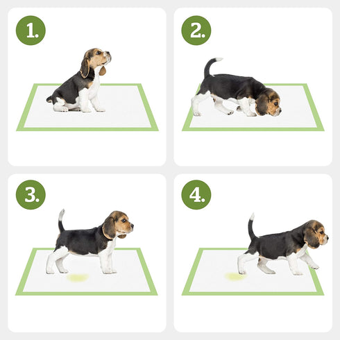 Pogi's XL Dog Training Pads with Adhesive Sticky Tabs, 20-Count, 24x35in, Plant-Based Puppy Pee Pads for Extra Large