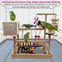 kathson Bird Playground,Parrot Play Stand,Parakeet Play Gym with Breeding Box and Food Cups,Cockatiel Perch Stand