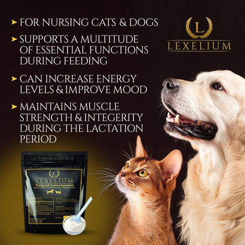 Nursing Supplement and Vitamins for Dogs and Cats, Lactation and Recovery Supplement for Breeders, 200g