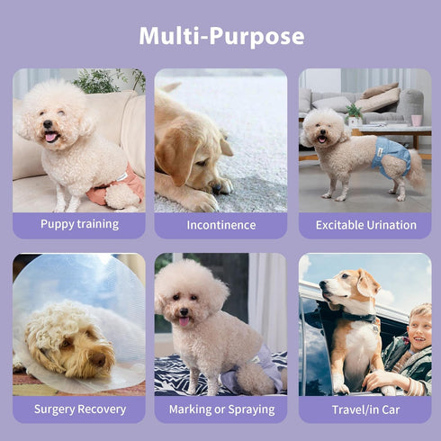 Dogs,(4 Pack) Vecomfy Reusable Female Dog Diapers for Large Easy Absorbent Medium Doggie Diapers for Peeing,in Heat,Dog