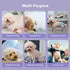Dogs,(4 Pack) Vecomfy Reusable Female Dog Diapers for Large Easy Absorbent Medium Doggie Diapers for Peeing,in Heat,Dog