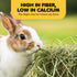 Chinchillas, 3.5 oz SunGrow Timothy Food, Ideal for Rabbits, Guinea Pigs, and High-Fiber Hay for Digestion & Oral Care