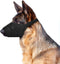 Breathable Nylon Cloth Safety Muzzle (Large)