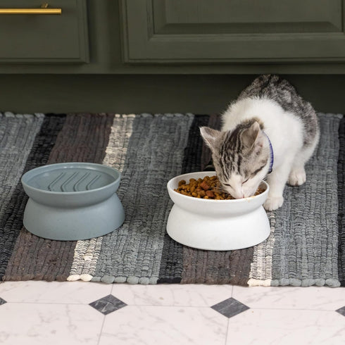 Kitty City Stress Free Raised Cat Food Bowl Collection, Feeder and Waterer with Slow Feed Bowls