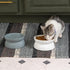Kitty City Raised Cat Food Bowl Collection, Stress Free Pet Feeder and Waterer with Slow Feed Bowls