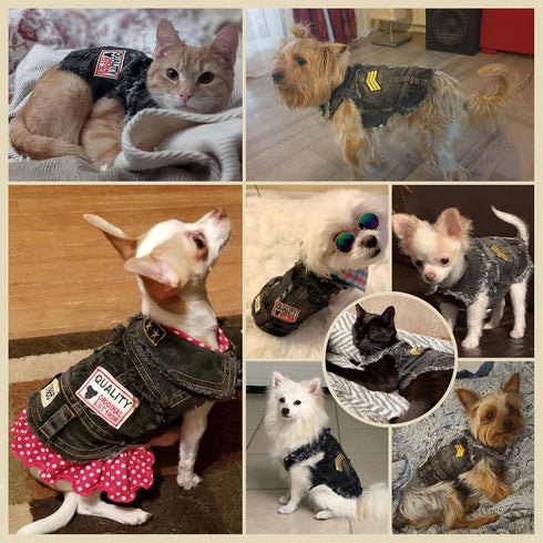 Cool Black Dog Jean Jacket, Small Pet Outfits for Small Medium Dogs Cats, Denim Coats, Puppy Shirts, Doggy Costume