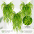 RAINFLOW 3PCS Artificial Terrarium Plants - Lifelike Reptile Habitat Vines, Fake Hanging Plants with Bendable Vine