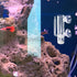 1set Mikikit Glass Shrimp Incubator Box Neocaridina Shrimp Brooder for Dream Live