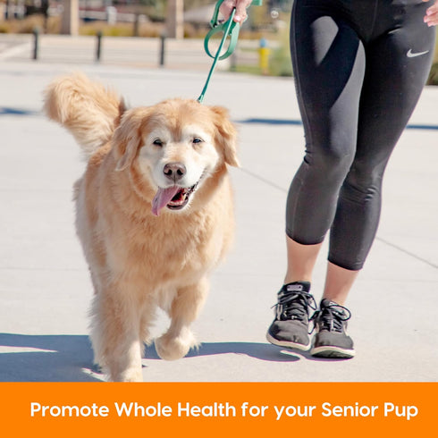 ARK NATURALS Gray Muzzle Old Dogs! Happy Joints! - 90 Soft Chews with Glucosamine, Orange