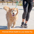 ARK NATURALS Gray Muzzle Old Dogs! Happy Joints! - 90 Soft Chews with Glucosamine, Orange
